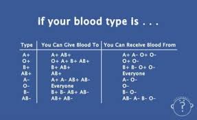 Blood Types Quick And Easy Chart Helpful For Remembering