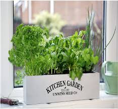 herb kitchen garden kit indoor