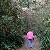 Rest Gardens de La Cañada Flintridge | Horario, Mapa y entradas 3