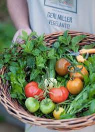 Vegetable Gardening In Southern