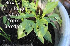 how to keep bugs out of your garden