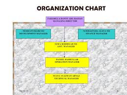 Dunnes Store Organisational Structure