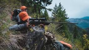 What caliber is best for bear hunting?
