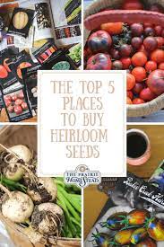 where to heirloom seeds the