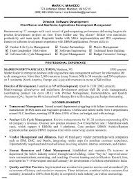 Resume samples project manager   Sample mini resume