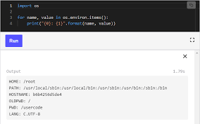 python environment variables