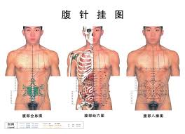 Abdominal Acupuncture Point Wall Chart Real Person Picture