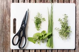 These recognizable spiky leaves are have you seen herb gardens that you like or have you tried your hand at making one yourself? How To Grow An Herb Garden In Your Apartment