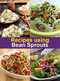 212 bean sprouts recipes | bean sprouts vegetarian recipes ...