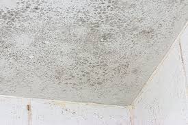 how to clean and prevent bathroom mold