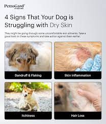 dry flaky skin on dogs causes
