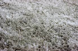 plush textured carpet