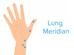 Hand Pressure Points Chart And Uses