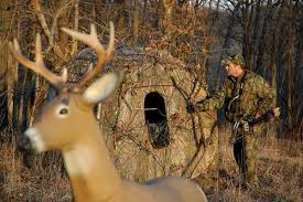 tree stand vs ground blind what s
