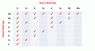 14 Experienced Blood Products Compatibility Chart