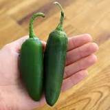 Can you freeze jalapeno peppers without blanching?