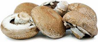 Agaricus Bisporus Button Mushroom Also Known As Portobello Champagne  gambar png