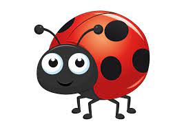 Ladybug Cartoon Vector Art, Icons, and Graphics for Free Download