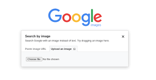 6 best reverse image search tools to
