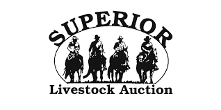 Superior Livestock: BusinessHAB.com