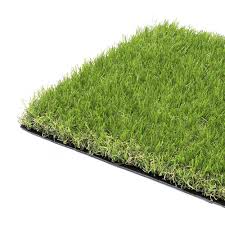Image result for grass
