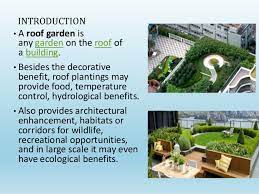 Benefits Of Rooftop Gardens