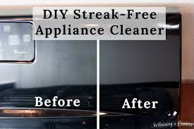 diy streak free appliance cleaner for