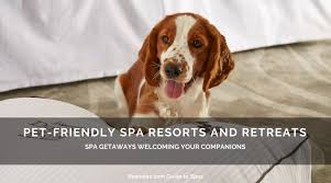 best pet friendly hotels spas resorts