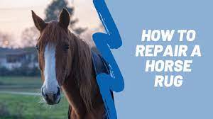 stormsure 5 star horse rug repair kit