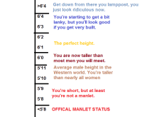 Manlet Height Chart New Hollywood Height Chart Pic