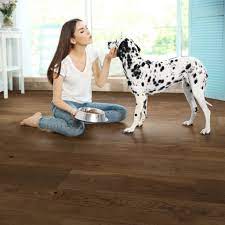 pets and your hardwood floors