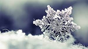 hd wallpaper snowflake winter frost