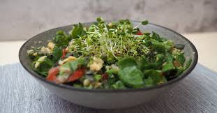 Broccoli Sprouts 101 Food For Slowing