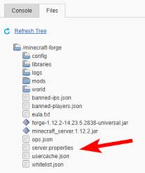 server configurations for minecraft