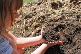 Garden Tip Building Good Soil 6512