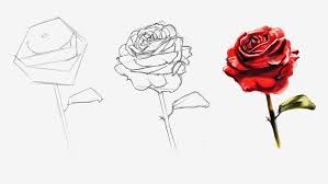 how to draw a rose simple and realistic