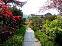 Natural Korean Garden Style Garden