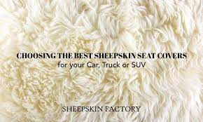 Choosing The Best Sheepskin Seat Covers