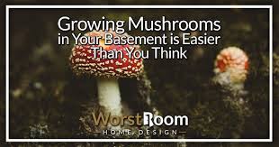 growing mushrooms in your basement is
