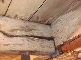 notched floor joists structural