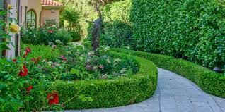 Topiary In Bay Area Landscape Design