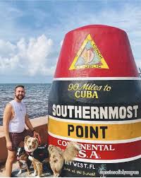 7 pet friendly things to do in key west