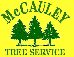 We did not find results for: Mccauley Tree Landscaping Tree And Stump Service I Harleysville Pa