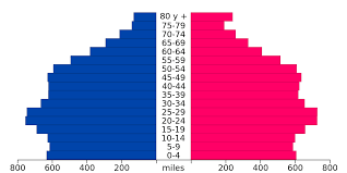 Demographics Of Chile Wikipedia
