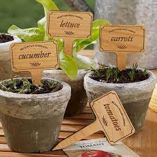 Vegetable Garden Personalized Plant Markers