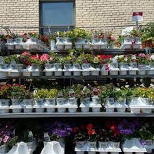 bayles garden center nursery 88 s