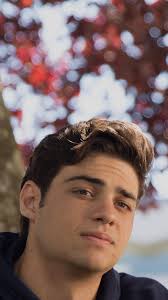 wallpaper and noah centineo image