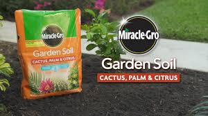 It also contains forest products, sand and perlite to help prevent soil compaction and improve drainage. How To Use Miracle Gro Garden Soil For Cactus Palm Citrus Youtube
