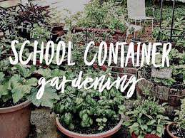 School Container Gardening Dustin Bajer