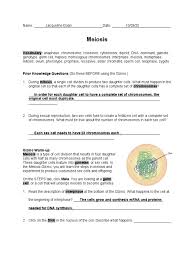 .gizmo cell division answer key pdf | slideblast.com cell division. Explore Learning Meiosis Meiosis Mitosis